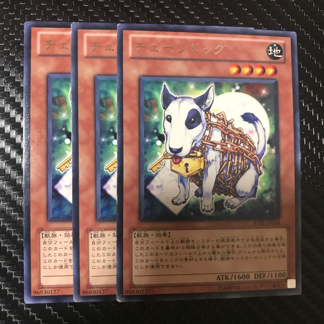 チェーンドッグ R