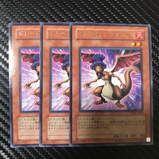 ドレッド・ドラゴン R