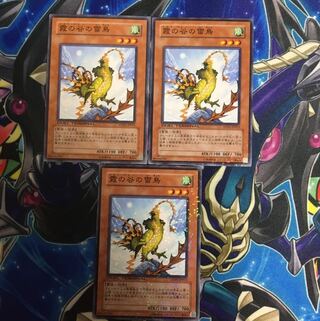 Mist Valley Thunderbird 3 sheets