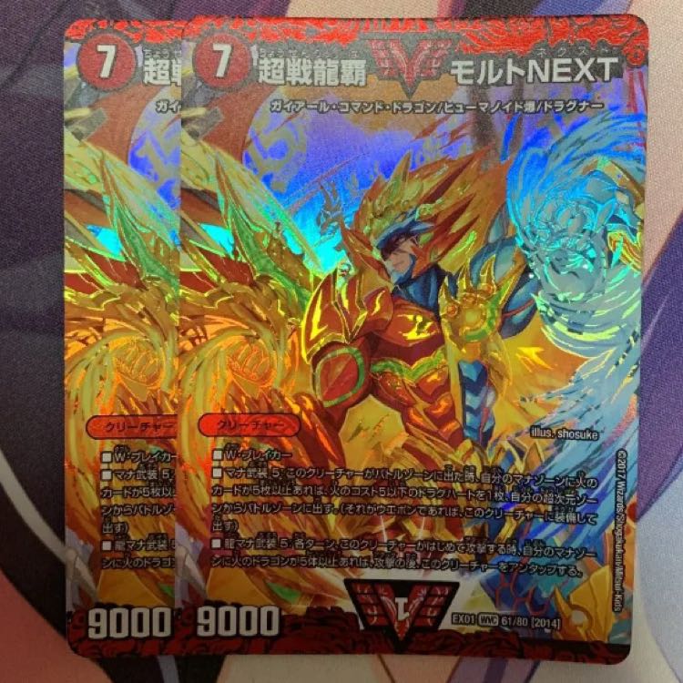 【専用】モルトNEXT 2枚