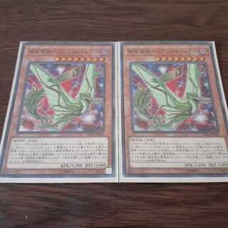 捕食植物ヘリアンフォリンクス SR