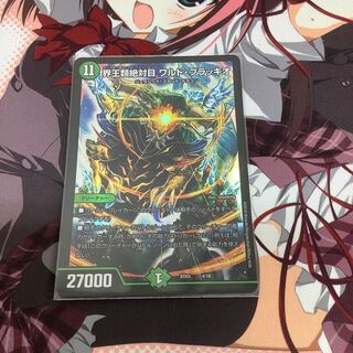 界王類絶対目 ワルド・ブラッキオ