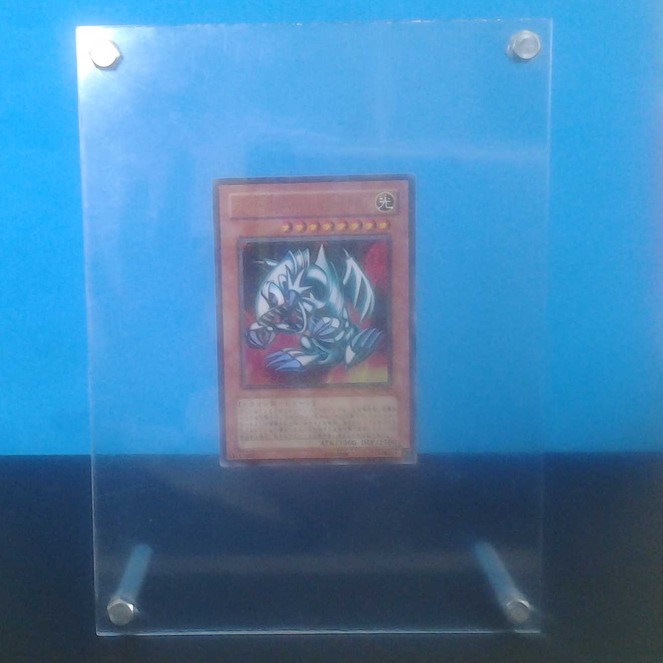 ブルーアイズ・トゥーン・ドラゴン トレカケース(フォトスタンド)付