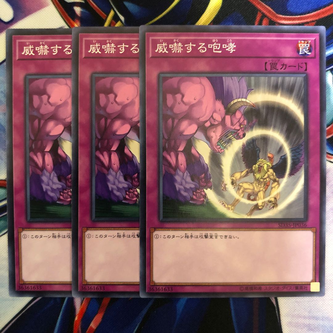 威嚇する咆哮 3枚