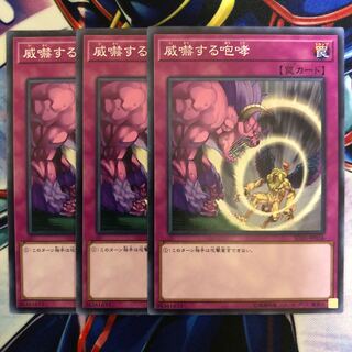 威嚇する咆哮 3枚