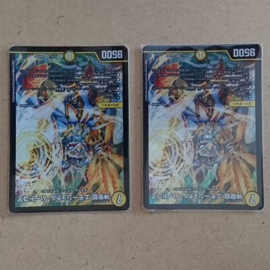 神聖龍 エモーショナル・ハードコア 2枚