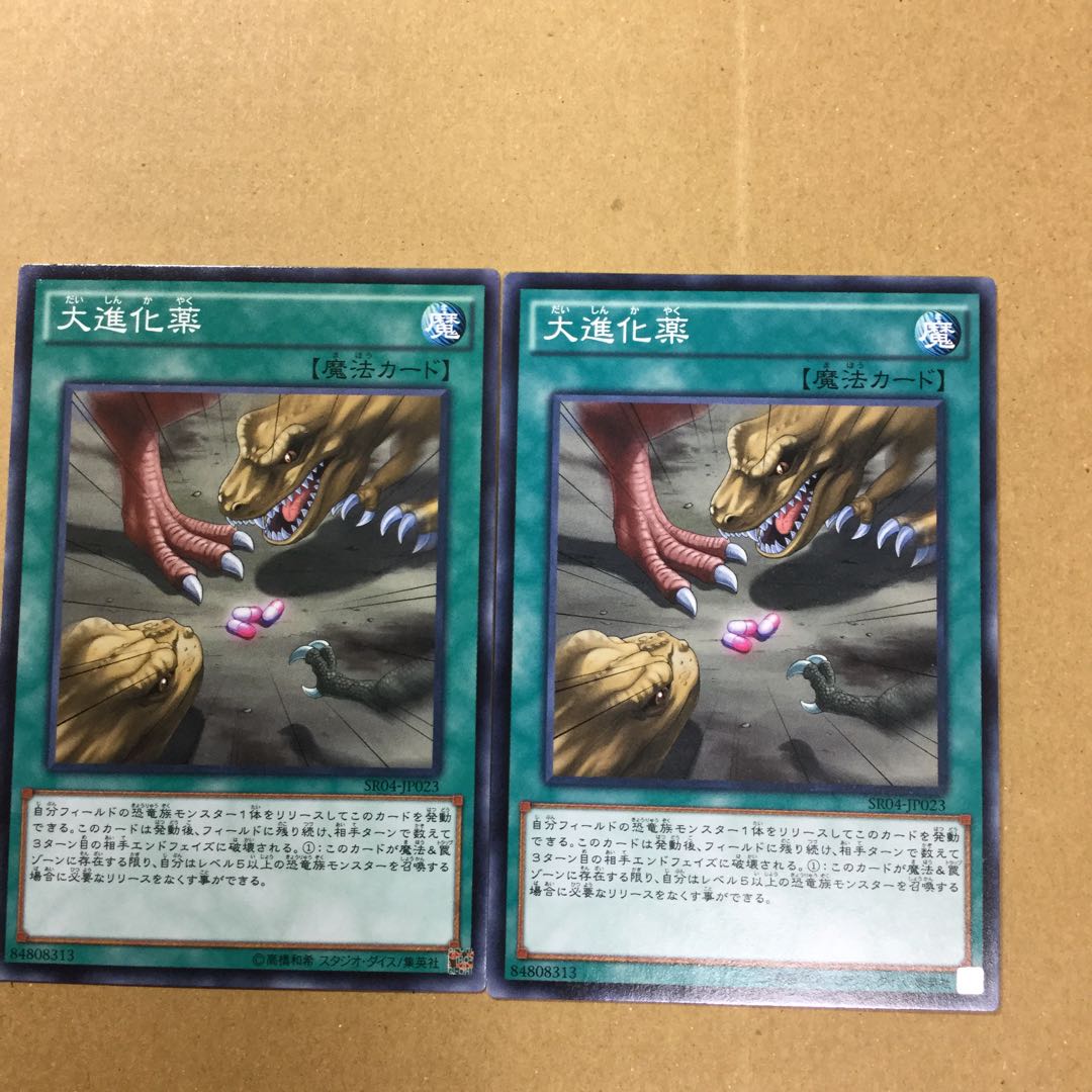 大進化薬　２枚