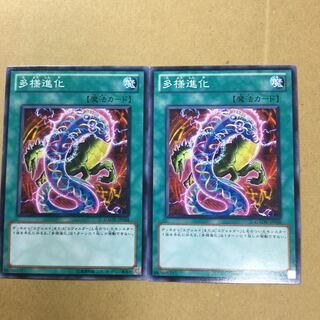 多様進化　２枚