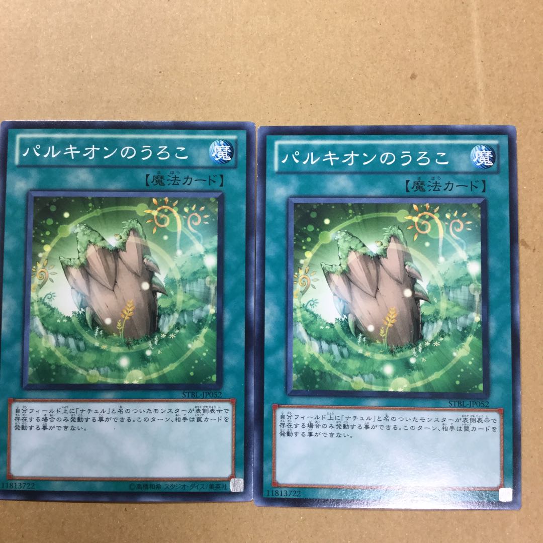 パルキオンのうろこ　２枚