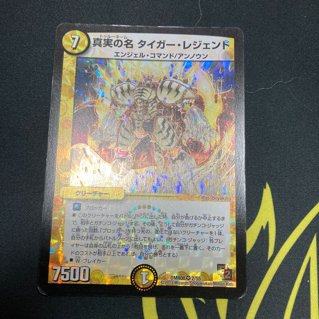 真実の名 タイガー・レジェンド