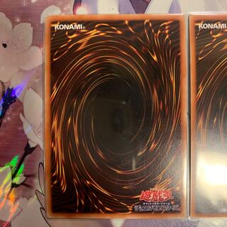 ナッツさん専用　リンクメイルデーモン20th