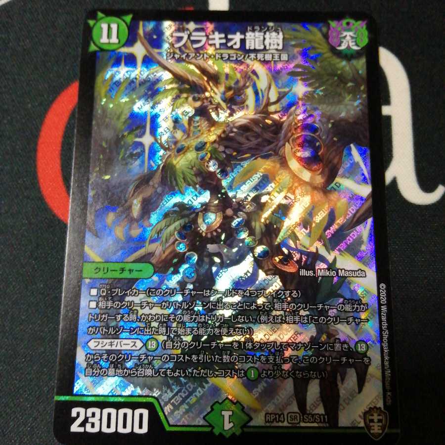 ブラキオ龍樹 1枚