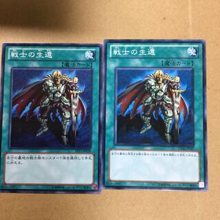 戦士の生還　２枚