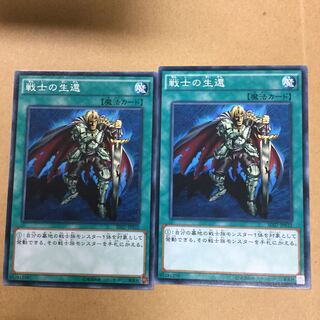 戦士の生還　２枚