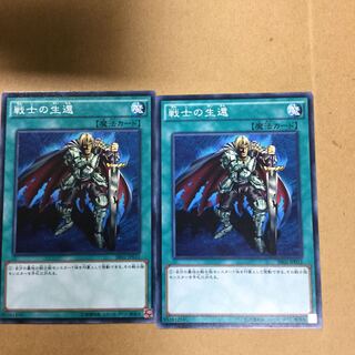 戦士の生還　２枚