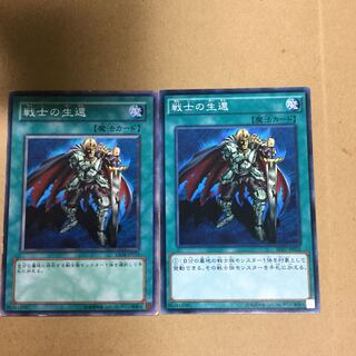 戦士の生還　２枚