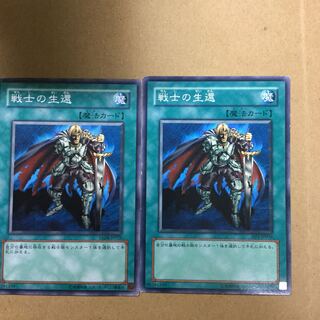 戦士の生還　２枚