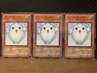【ぽぽたん】遊戯王 9856 ホワイトポータン 3枚 ノーマル