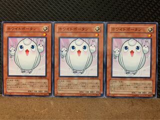 【ぽぽたん】遊戯王 1842 ホワイトポータン 3枚 ノーマル