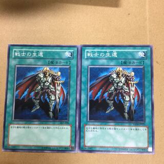 戦士の生還　２枚