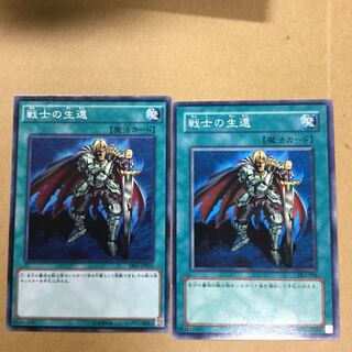 戦士の生還　２枚