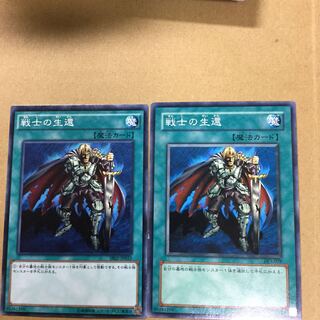 戦士の生還　２枚