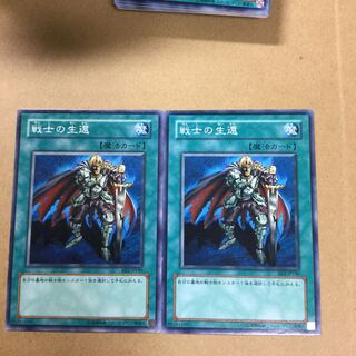 戦士の生還　２枚