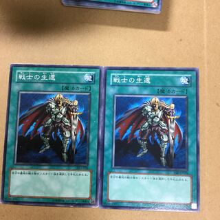 戦士の生還　２枚