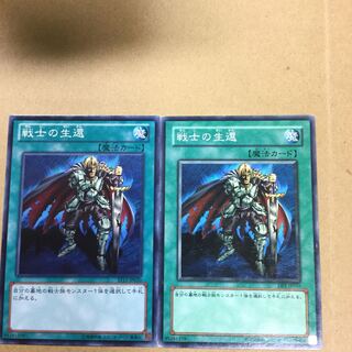 戦士の生還　２枚