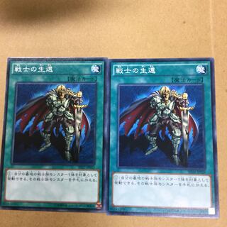 戦士の生還２枚