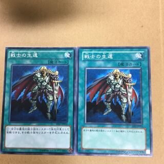 戦士の生還　２枚