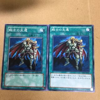 戦士の生還　２枚