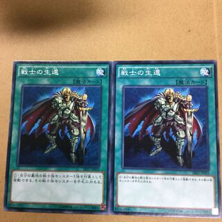 戦士の生還　２枚