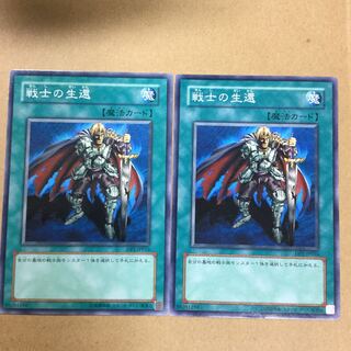 戦士の生還　２枚