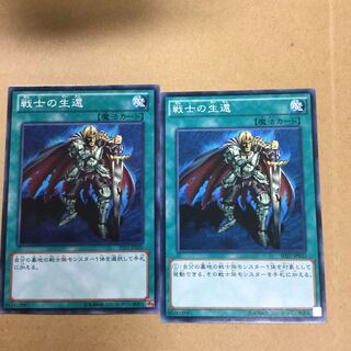 戦士の生還　２枚