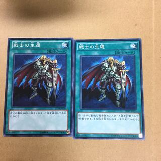 戦士の生還　２枚