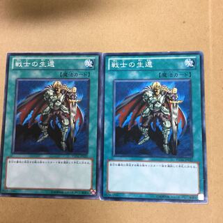 戦士の生還２枚