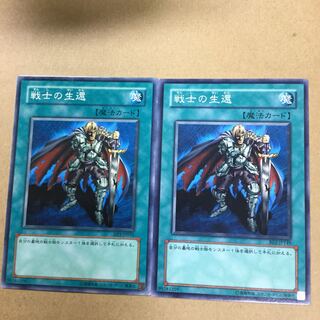 戦士の生還　２枚