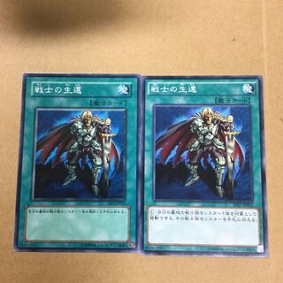 戦士の生還　２枚