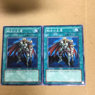戦士の生還　２枚