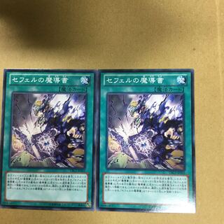 セフェルの魔導書　２枚