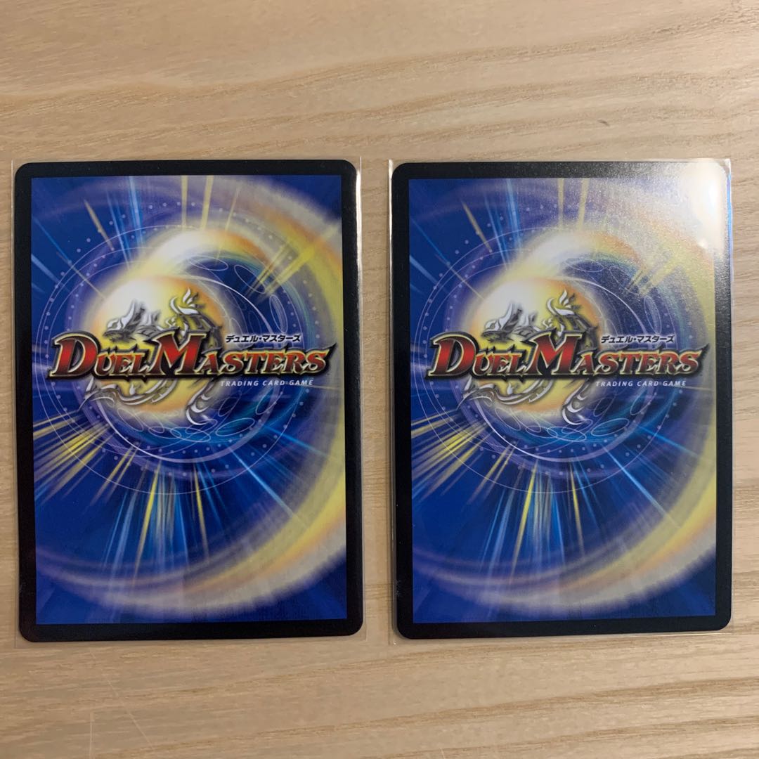 「絶対の楯騎士」