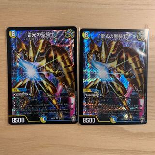 「雷光の聖騎士」