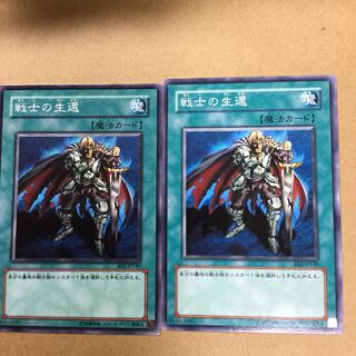 戦士の生還　２枚