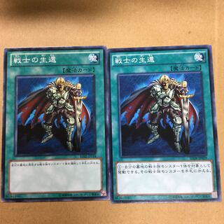 戦士の生還　２枚