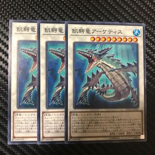 飢鰐竜アーケティス N