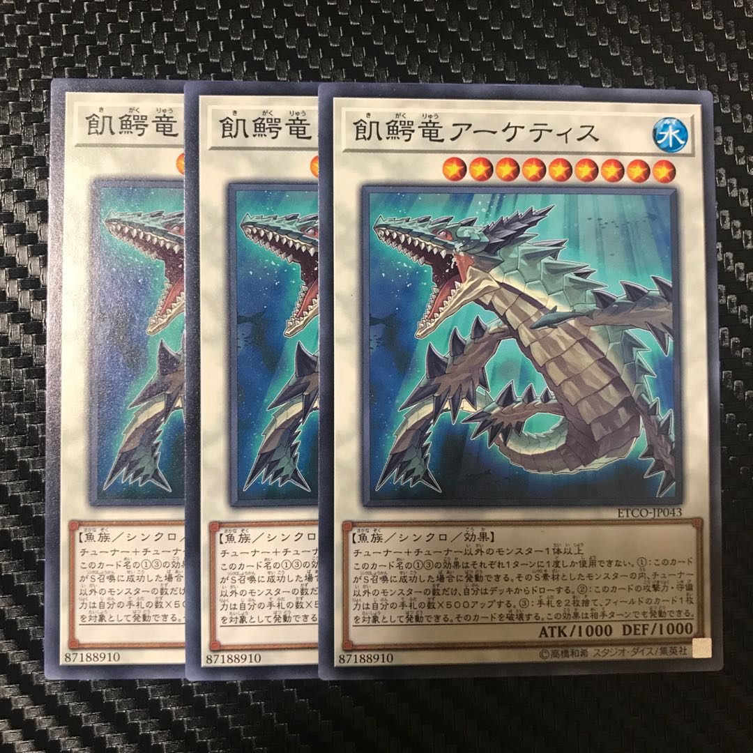 飢鰐竜アーケティス N