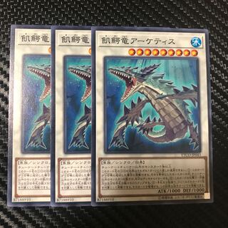 飢鰐竜アーケティス N