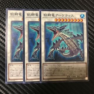 飢鰐竜アーケティス N