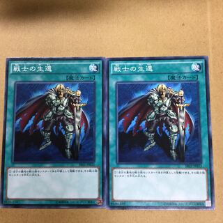 戦士の生還　２枚